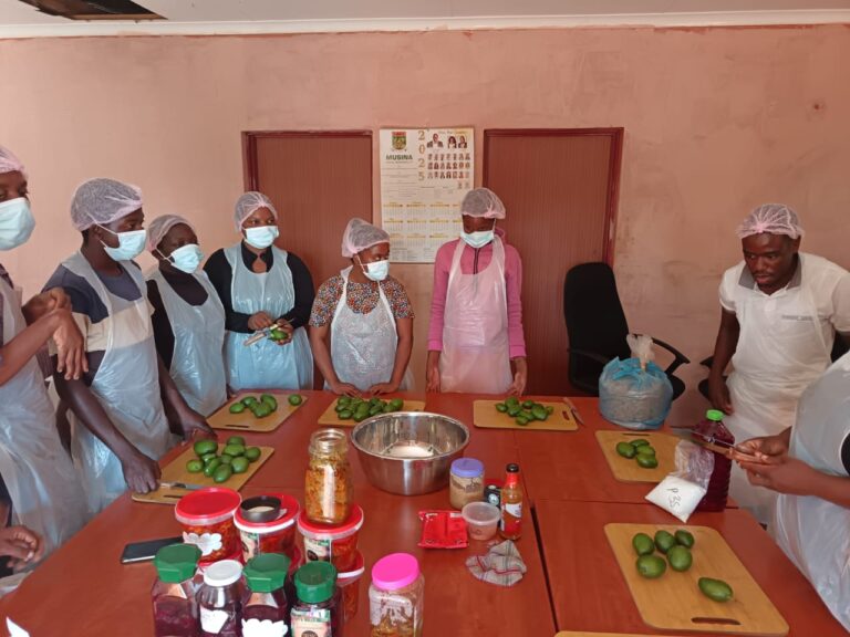 whatsapp image 2025 11 05 at 08.49.30 bc710f67